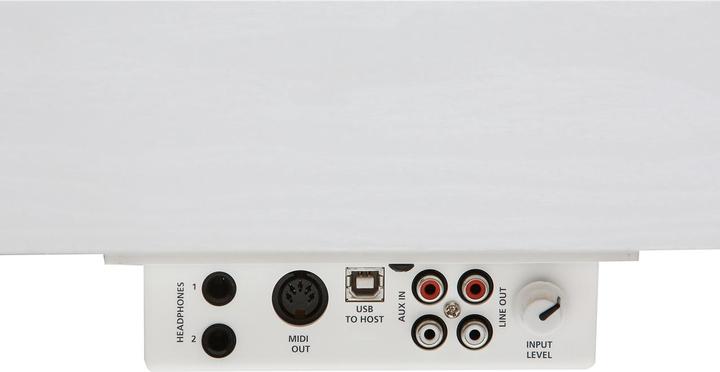 Immagine prodotto Kurzweil M90 (88 Chiavi)