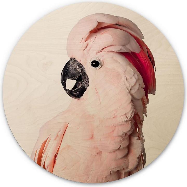 Immagine prodotto Trenddeko Cacatua rosa (Tondo/a)