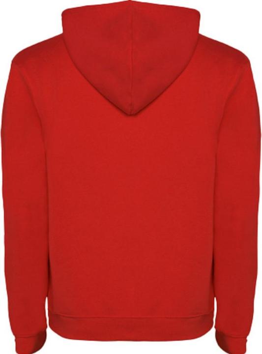 Produktbild Alpinia Urban Kapuzenpullover (M)