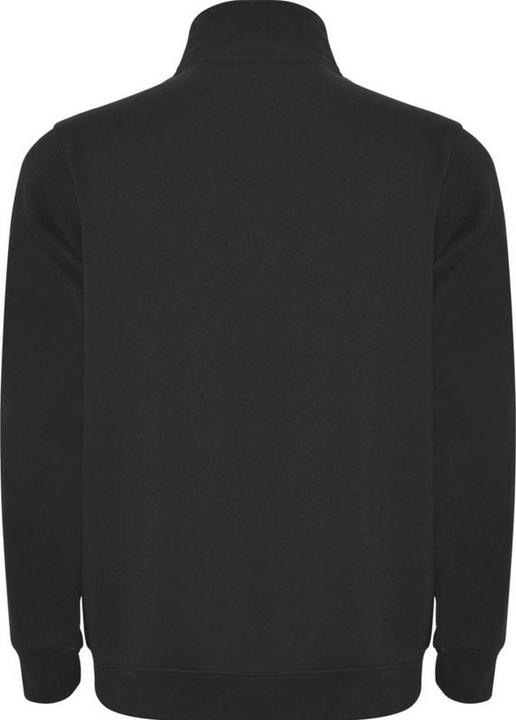 Actual product image Alpinia Mens Aneto Quarter Zip Sweatshirt (M)