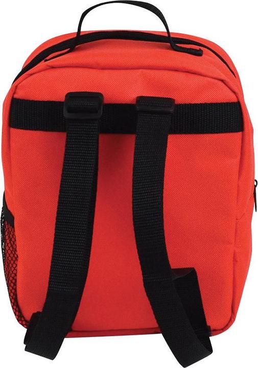 Actual product image Jemini children's insulated backpack miraculous