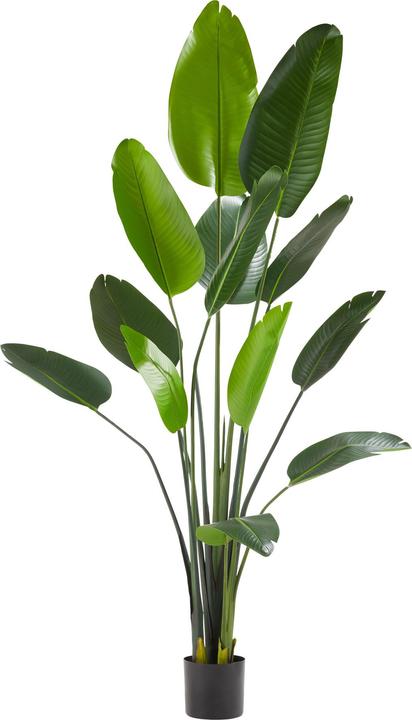 tectake Arbre de paradis artificiel Tropic,naturellement fidèle (180 cm)