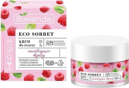 Bielenda Eco Sorbet Crème Hydratante et Apaisante pour le Visage Malina 50Ml (50 ml, Crème 24h)