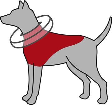 Immagine prodotto Trixie Collare di protezione, gonfiabile (Cane)