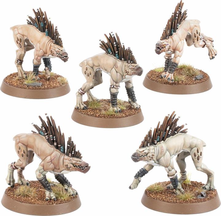 Actual product image Games Workshop Kroot Hounds (2024) (Plastic)