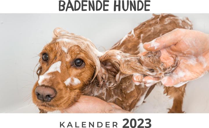 Produktbild Badende Hunde (A4, Kein Einband, Deutsch)