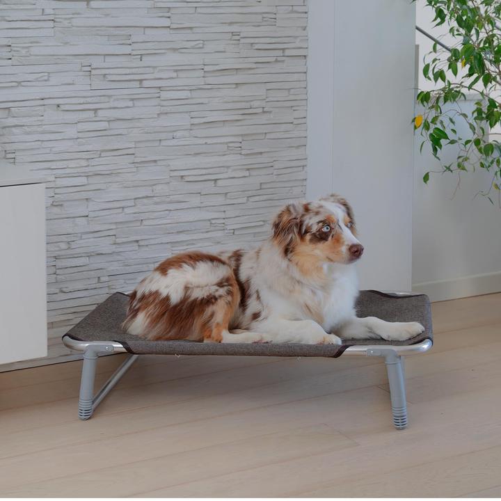 Actual product image Ferplast Dream (Dog)