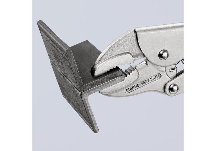 Immagine prodotto Knipex Pinza regolabile a morsetto (250 mm)