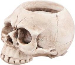 Immagine prodotto Chaks Teschio - Cranio