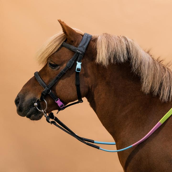 Fouganza Initiation Pony