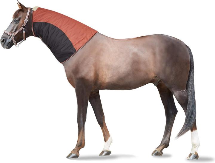 Actual product image Horze Lucerne 250g (145 cm)