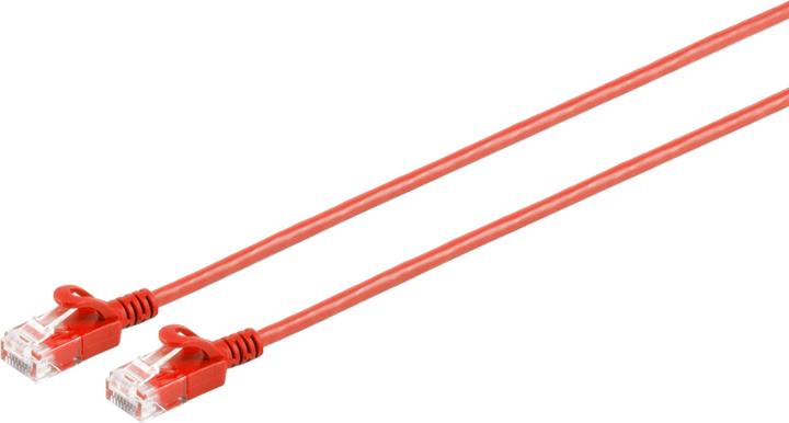 Rot