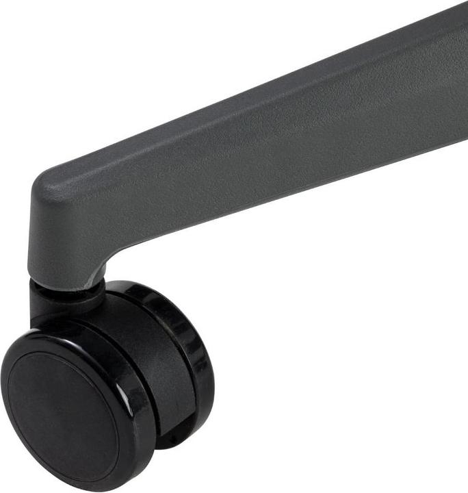 Actual product image Johann Jakob Aria