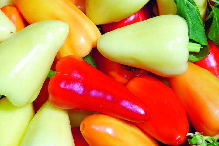 Image du produit Zollinger Bio Chili, Babura (Somborcka) (Germes)