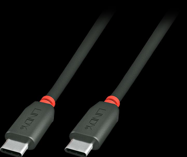 Actual product image Lindy Type C (3 m, USB 2.0)