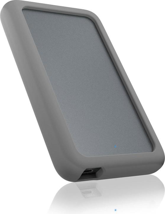 Icy Box IB-246-C31-G (2.5")