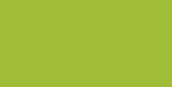 Image du produit smiT Symbole magnétique RECTANGLE, L x l 60 x 30 mm, lot de 20, vert.