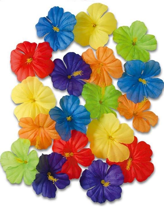 Image du produit Widmann 18 fleurs hawaïennes colorées 5cm