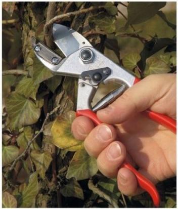 Produktbild Felco 31 Amboss-Scheren