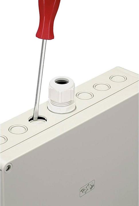 Image du produit Spelsberg Boîtier en plastique TK en polystyrène résistant aux chocs (Boîtier)