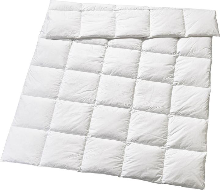 Actual product image Billerbeck Edition Elwine Medium (1290 g, 240 x 240 cm)