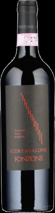 Image du produit Fonzone Taurasi Riserva DOCG Scorzagalline (1 x 75 cl, 2013)