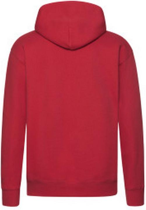 Actual product image Fruit of the Loom Mens R Hoodie (S)