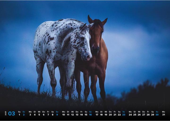 Produktbild Haas:Pferde Kalender 2025 Pferdeglück! (A3, Harter Einband)