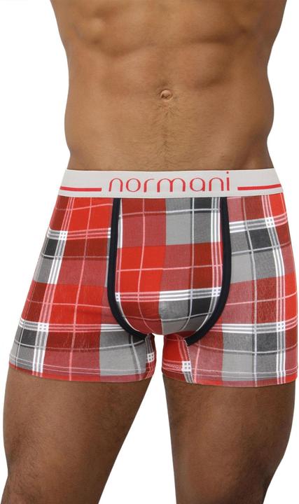 Scottish Check - Dark Red