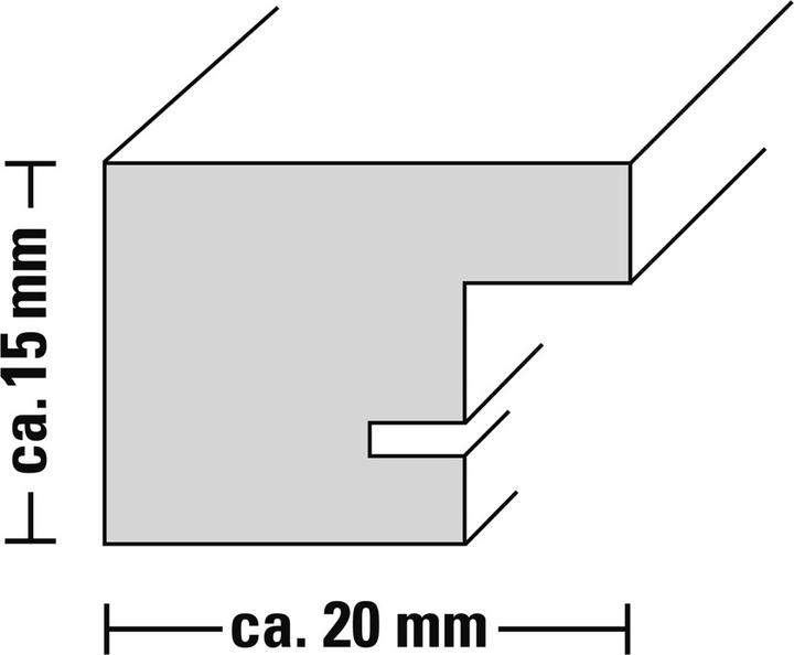 Immagine prodotto Hama Telaio in plastica Parigi, acciaio, 13 (9 x 13 cm)