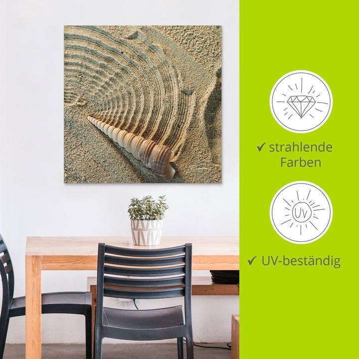 Actual product image Artland Poster Zen IV Shell T5DO 30x30 cm (50 x 50 cm)