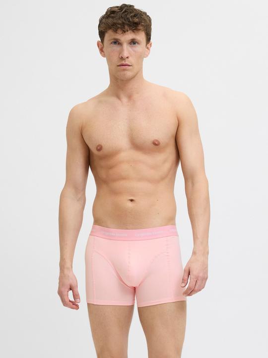 Image du produit Jack & Jones Shorts Shorts (L, Pack de 5)