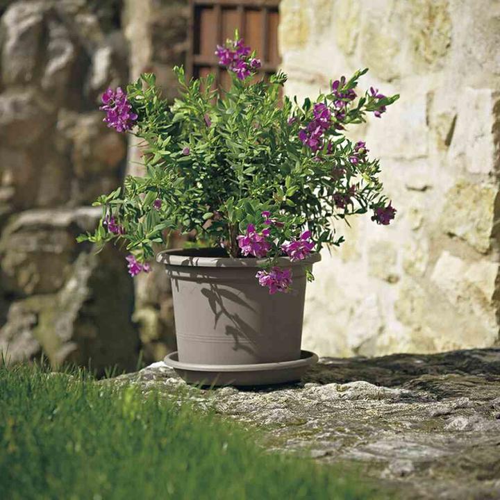 Actual product image Euro3plast Planter (25 cm)