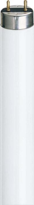 Produktbild Philips Master TL-D Super (G13, 36.60 W, 3100 lm, 1 x, G)