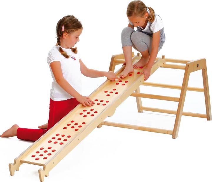 Immagine prodotto Erzi Scheda di bilanciamento ZEHner Step