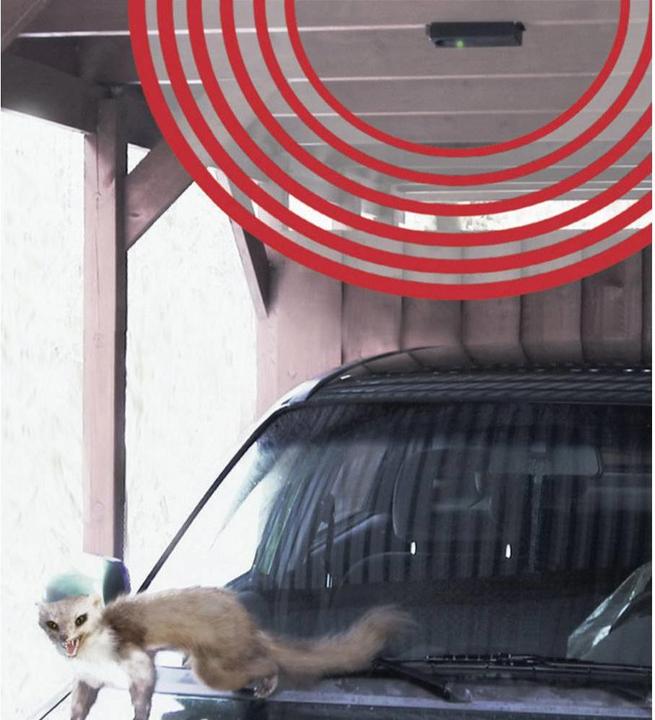 Immagine prodotto Kemo Repellente per martora mobile
