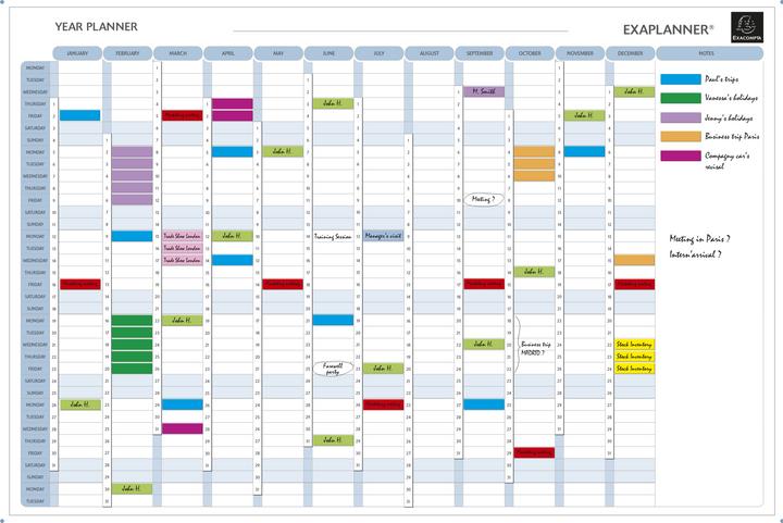 Exacompta Planning annuel (90 x 60 mm, Anglais)