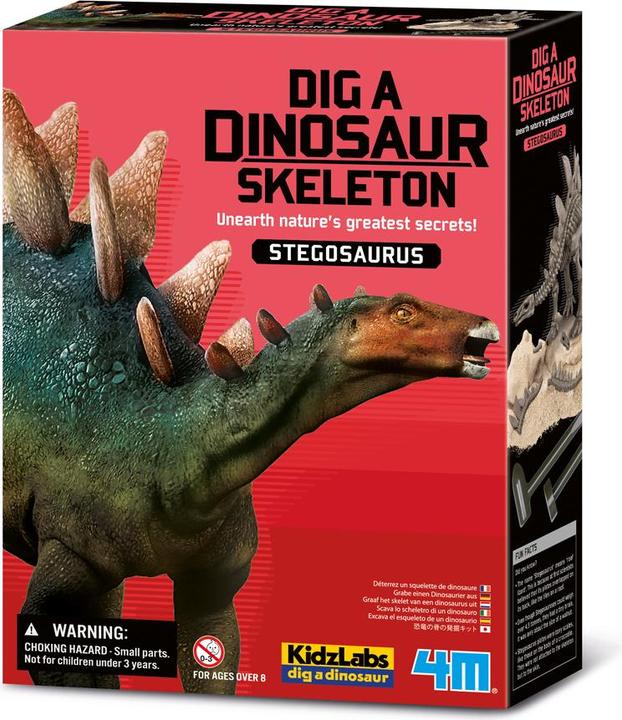 Actual product image 4M Dig a Stegosaurus Skeleton