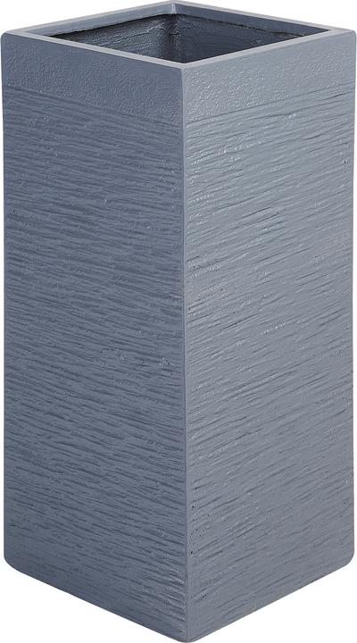Gris