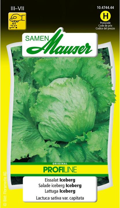 Samen Mauser Eissalat Iceberg Profiline (Gemüsesamen)