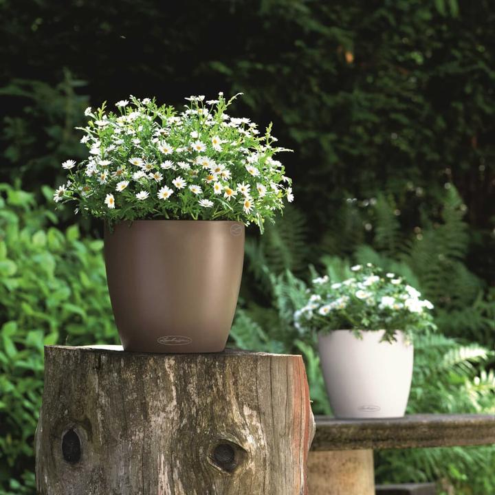 Actual product image Lechuza Classico Color (34.50 cm)