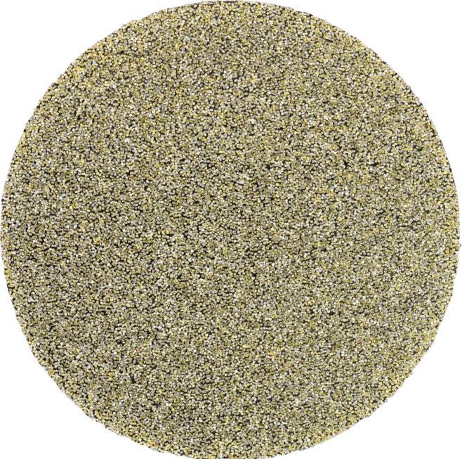 Produktbild Pferd COMBIDISC Diamant Schleifblatt CD Ø 50mm D251/P 60 für Titan, Glas, GFK und Stein (251)