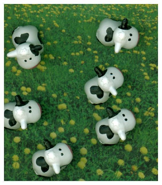Immagine prodotto Trendform Mucca (6 x)