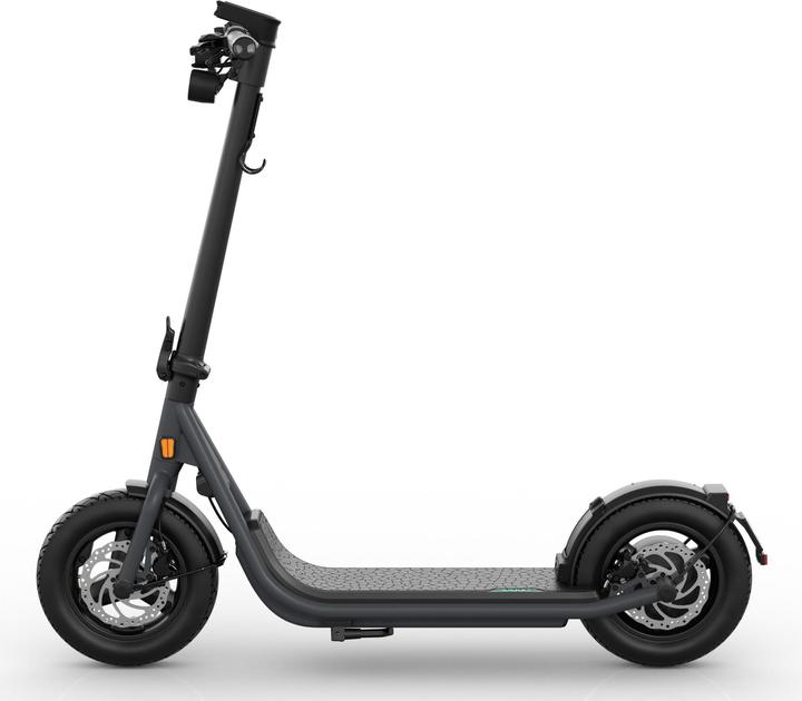 Actual product image Egret X+ (20 km/h, 60 km, 500 W)