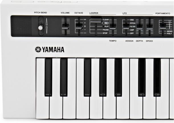 Actual product image Yamaha Reface CS