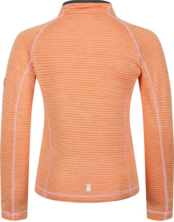 Actual product image Regatta Childrens/Kids Berley Half Zip Long Sleeved Top (146, 152)