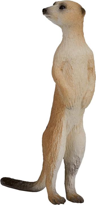 Actual product image Animal Planet Meerkat