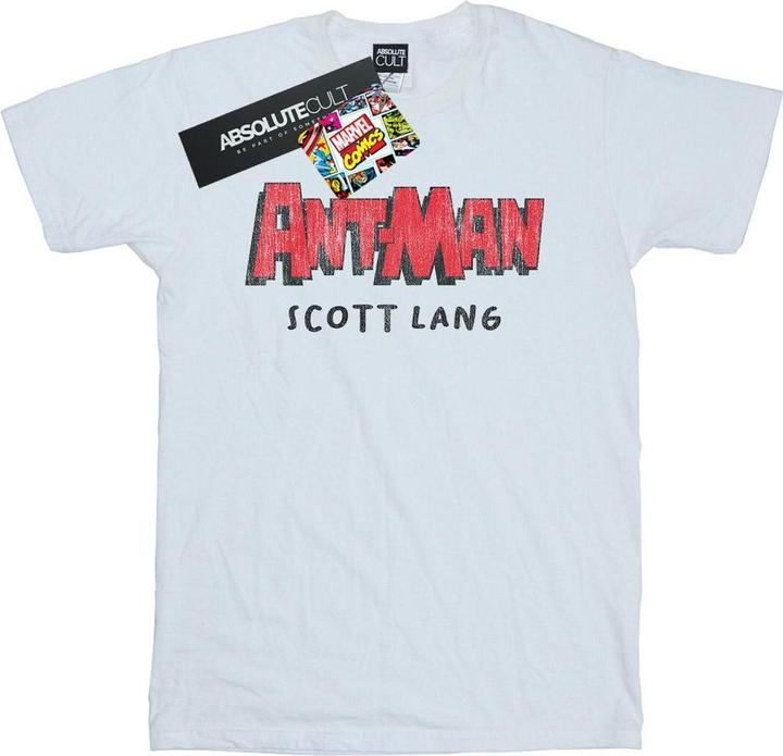 Actual product image Mens Ant-Man AKA Scott Lang T-Shirt (S)