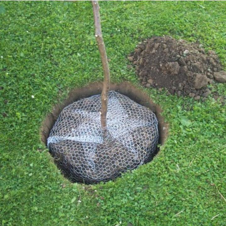Actual product image Siena Garden Vole basket (5000 ml)