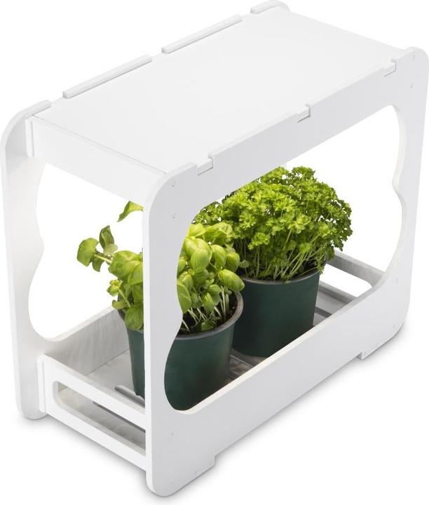 Actual product image Xavax Gewächsstation mit LED-Pflanzenlampe, ca. 3 Töpfe Ø 10 cm, Vollspektrum-LED (LED)